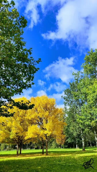 Photographie intitulée "Les couleurs de l'a…" par Emma Laflute, Œuvre d'art originale, Photographie non manipulée