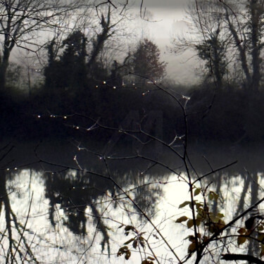 Photographie intitulée "VOIE-VERTE-IMG_4145" par Philip Payne, Œuvre d'art originale, Photographie non manipulée