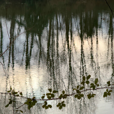 Photographie intitulée "VOIE-VERTE-IMG_4340" par Philip Payne, Œuvre d'art originale, Photographie non manipulée