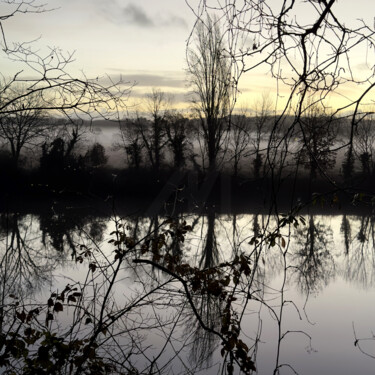 Photographie intitulée "VOIR-VERTE-IMG_4144" par Philip Payne, Œuvre d'art originale, Photographie non manipulée