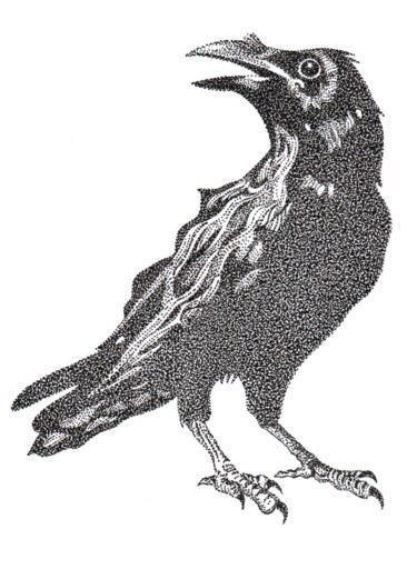 Drawing titled "Bad Bird" by Dimitri Prévot, Original Artwork, Ink