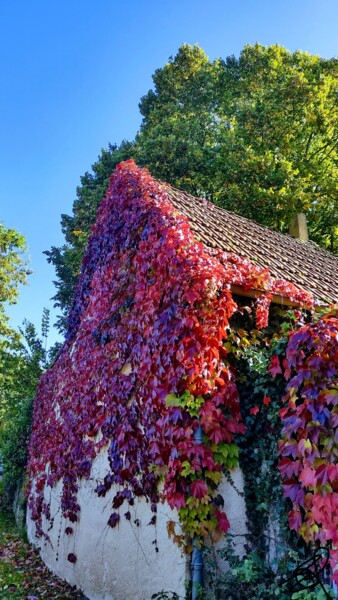 Photographie intitulée "Les couleurs de l'a…" par Emma Laflute, Œuvre d'art originale, Photographie non manipulée