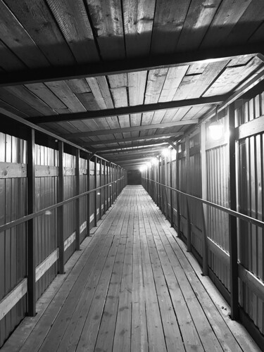 Фотография под названием "Black and White Tun…" - Samiya Rani, Подлинное произведение искусства, Цифровая фотография