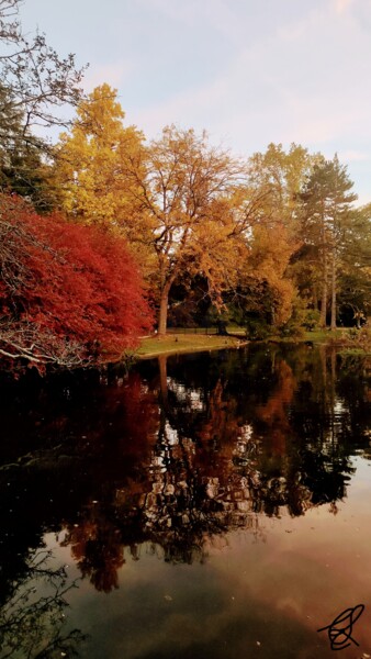 Photographie intitulée "October colors at s…" par Emma Laflute, Œuvre d'art originale, Photographie non manipulée