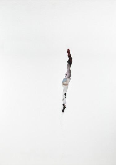 Kolaże zatytułowany „Animal” autorstwa Sandra De Boerdère, Oryginalna praca, Kolaże