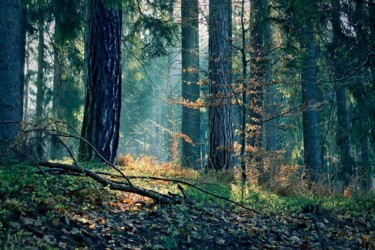 "The Light Between t…" başlıklı Fotoğraf Vlastaba tarafından, Orijinal sanat, Dijital Fotoğrafçılık