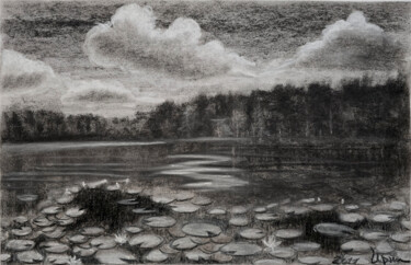 Pintura intitulada "WATER LILIES" por Rina Ray, Obras de arte originais, Carvão