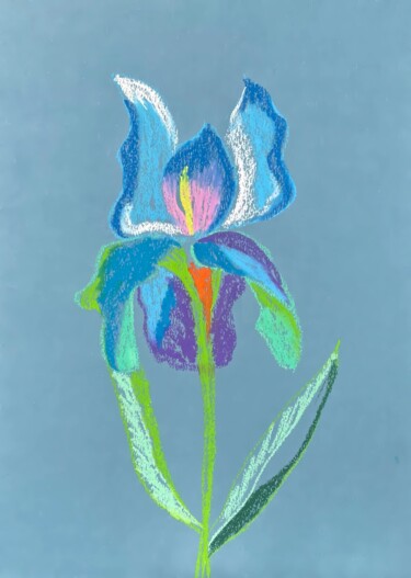 Drawing titled "Multicolored iris f…" by Yulia Nova, Original Artwork, Pastel
