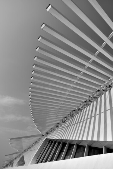 Photography titled "Museum of Tomorrow…" by Martiniano Ferraz, Original Artwork, Digital Photography