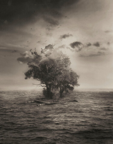 摄影 标题为“Verdes en l amar sa…” 由Oriol Jolonch, 原创艺术品, 照片蒙太奇