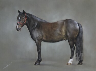 Рисунок под названием "Portrait of Dragon" - Irene_art, Подлинное произведение искусства, Пастель