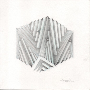 "Boîte-Oiseaux dans…" başlıklı Resim Eunwan Han tarafından, Orijinal sanat, Kalem Ahşap panel üzerine monte edilmiş