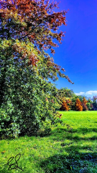 Photographie intitulée "Un bel après-midi d…" par Emma Laflute, Œuvre d'art originale, Photographie argentique