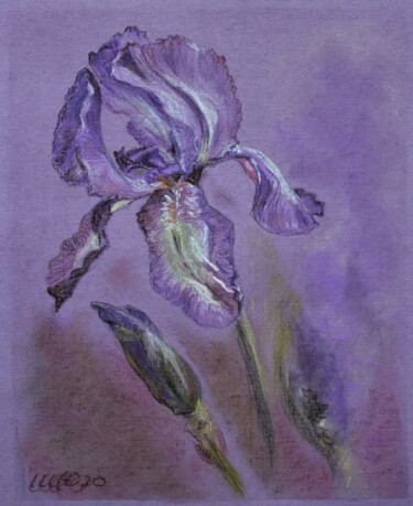 Iris. Tenderness of Spring