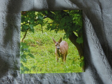 Φωτογραφία με τίτλο "Depuis ma fenêtre" από Bastien Chatainier, Αυθεντικά έργα τέχνης, Μη χειραγωγημένη φωτογραφία Τοποθετήθ…