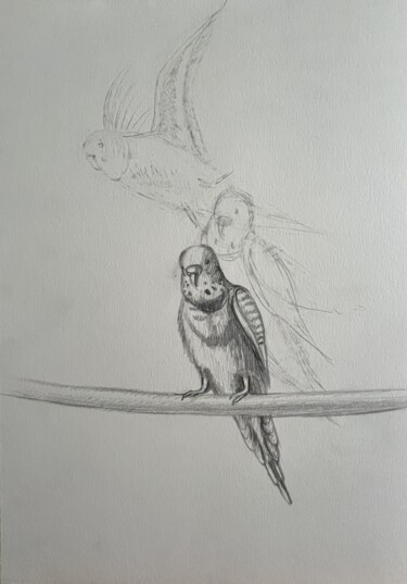 "The Last Flight. Bo…" başlıklı Resim Ivan Klymenko tarafından, Orijinal sanat, Kalem