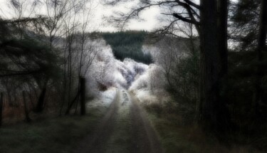 "Polloch, Lock Shiel…" başlıklı Fotoğraf Peter Watson tarafından, Orijinal sanat, Dijital Fotoğrafçılık