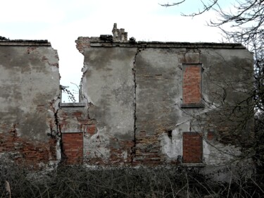 "Forced Dignity" başlıklı Fotoğraf Irvin Grassi tarafından, Orijinal sanat, Dijital Fotoğrafçılık Alüminyum üzerine monte ed…