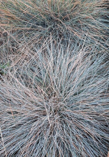 "Eight" başlıklı Fotoğraf Nadya Vi tarafından, Orijinal sanat, Fotoşopsuz fotoğraf