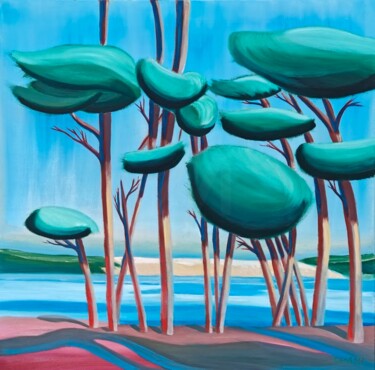 dune du Pilat vue du cap ferret