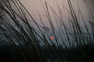 "Sunset 2" başlıklı Fotoğraf Koela Bagchi tarafından, Orijinal sanat, Dijital Fotoğrafçılık