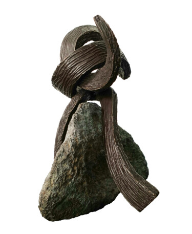 Sculpture intitulée "Oxalis IV  2-8" par Vincent Champion-Ercoli, Œuvre d'art originale, Bronze