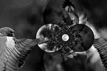 Fotografia zatytułowany „Pleine lune” autorstwa Hoang Cong Minh (Minh Hoang), Oryginalna praca, Fotomontaż