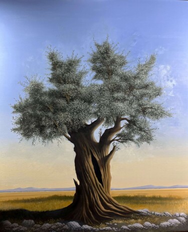 绘画 标题为“OLIVE TREE” 由Manolis Maridakis, 原创艺术品, 油 安装在木质担架架上