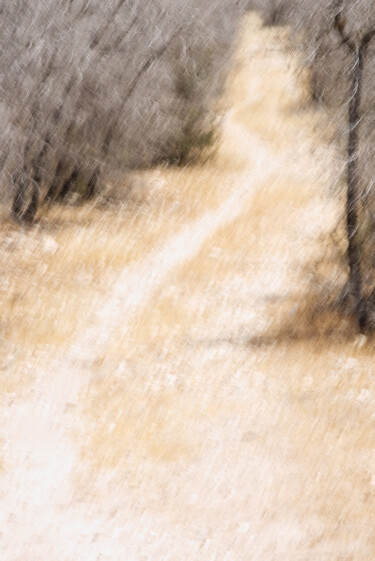 Photographie intitulée "Sur le chemin des a…" par Olive, Œuvre d'art originale, Photographie numérique