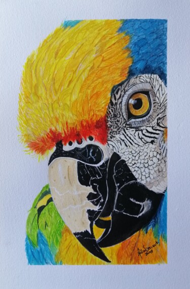 Ζωγραφική με τίτλο "Um Sorriso dum Papa…" από Inês Dourado, Αυθεντικά έργα τέχνης, Γκουάς