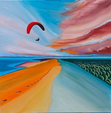 Vol au-dessus de la dune du pilat