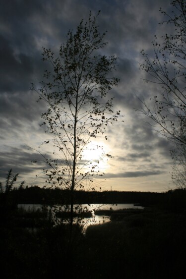 Φωτογραφία με τίτλο "Arbre seul" από Michael Dessein, Αυθεντικά έργα τέχνης, Μη χειραγωγημένη φωτογραφία Τοποθετήθηκε στο Αλ…