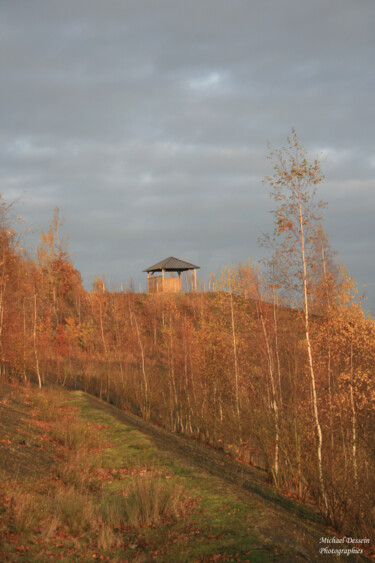 Photographie intitulée "Rieulay cabane" par Michael Dessein, Œuvre d'art originale, Photographie non manipulée Monté sur Alu…