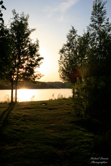 Photographie intitulée "Deux arbres dans le…" par Michael Dessein, Œuvre d'art originale, Photographie non manipulée Monté s…