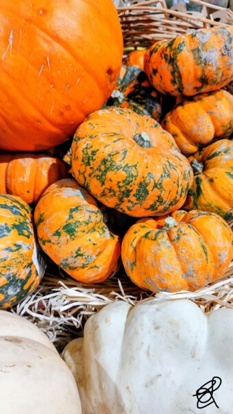 Photographie intitulée "Les citrouilles" par Emma Laflute, Œuvre d'art originale, Photographie non manipulée