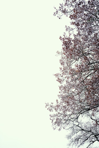 Φωτογραφία με τίτλο "HIVER COUMEUR" από Eric Gizard, Αυθεντικά έργα τέχνης, Ψηφιακή φωτογραφία Τοποθετήθηκε στο Αλουμίνιο