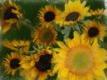 Digital Arts titled "Sunflowers #3" by Russell Newell, Original Artwork, 2D Digital Work