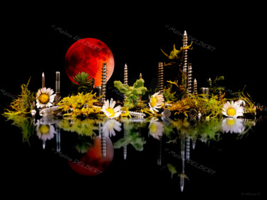 Photography titled "Rebirth in Screw Yo…" by Mélina Delbert, Original Artwork, Digital Photography Mounted on Other rigid pa…