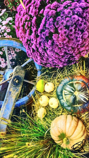 Photographie intitulée "Citrouilles et chry…" par Emma Laflute, Œuvre d'art originale, Photographie non manipulée
