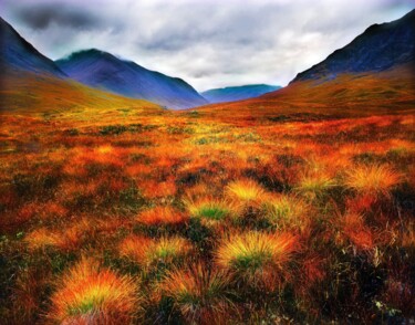 "Wilderness, Scottis…" başlıklı Fotoğraf Peter Watson tarafından, Orijinal sanat, Dijital Fotoğrafçılık