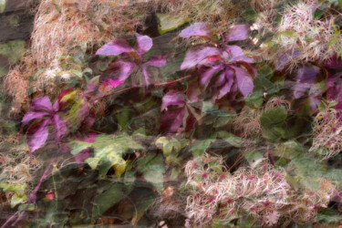 Digital Arts titled "Miss Terre" by Michel Guillaumeau, Original Artwork, Digital Painting