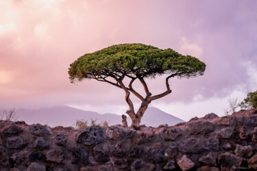 Photography titled "Gardien du Vesuve" by Mélina Delbert, Original Artwork, Digital Photography