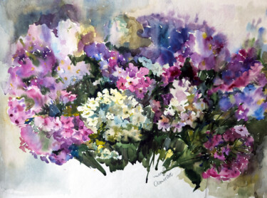 Pintura titulada "Phloxes. Summer Fra…" por Olha Osmak, Obra de arte original, Acuarela
