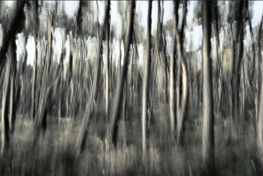 Photography titled "Faint Echoes of the…" by Redrumstudio, Original Artwork, Digital Photography