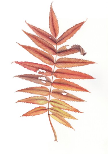 "Autumn leaf" başlıklı Tablo Olena Zhylenko tarafından, Orijinal sanat, Suluboya