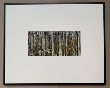 "Birch Grove V - Atm…" başlıklı Tablo Krist Sergeeva tarafından, Orijinal sanat, Petrol