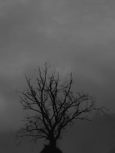 "SUR LE CHEMIN DE L'…" başlıklı Fotoğraf Eric Gizard tarafından, Orijinal sanat, Dijital Fotoğrafçılık Alüminyum üzerine mon…