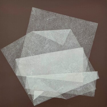 Malarstwo zatytułowany „Folds of Perception” autorstwa Marina Agre, Oryginalna praca, Kolaże