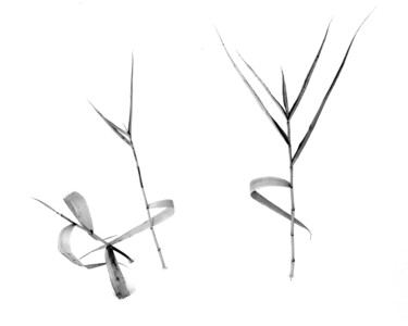 "Snow Dancers" başlıklı Fotoğraf Bavosi Photoart tarafından, Orijinal sanat, Dijital Fotoğrafçılık