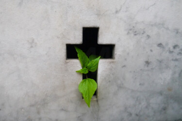 "DEATH BIRTHING LIFE" başlıklı Fotoğraf Miles Astray tarafından, Orijinal sanat, Dijital Fotoğrafçılık